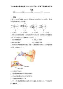 山东省烟台市莱山区2021-2022学年七年级下学期期末生物试题(含答案)