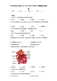 广西玉林市玉州区2021-2022学年七年级下学期期末生物试题(含答案)