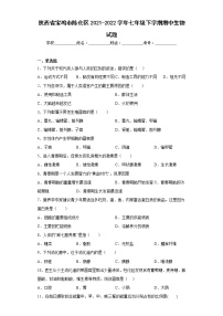 陕西省宝鸡市陈仓区2021-2022学年七年级下学期期中生物试题(含答案)