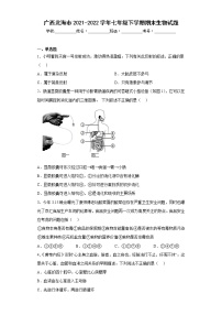 广西北海市2021-2022学年七年级下学期期末生物试题(含答案)