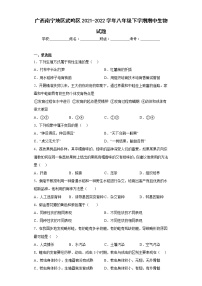 广西南宁地区武鸣区2021-2022学年八年级下学期期中生物试题(含答案)