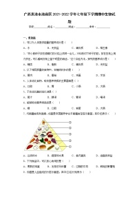 广西贵港市港南区2021-2022学年七年级下学期期中生物试题(含答案)