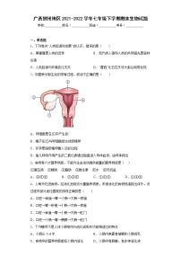 广西贺州地区2021-2022学年七年级下学期期末生物试题(含答案)