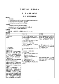 人教版八年级生物上册教案