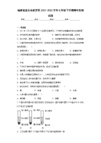 福建省龙岩市新罗区2021-2022学年七年级下学期期中生物试题(含答案)