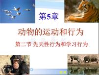 人教版 (新课标)八年级上册第五单元 生物圈中的其他生物第二章 动物的运动和行为第二节 先天性行为和学习行为集体备课ppt课件