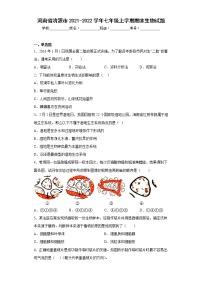 河南省济源市2021-2022学年七年级上学期期末生物试题(含答案)