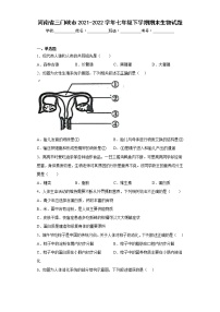 河南省三门峡市2021-2022学年七年级下学期期末生物试题(含答案)