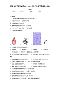 河南省鹤壁市淇滨区2021-2022学年八年级下学期期中生物试题(含答案)