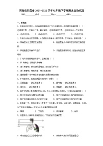 河南省许昌市2021-2022学年七年级下学期期末生物试题(含答案)