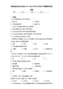 河南省商丘市宁陵县2021-2022学年七年级下学期期末生物试题(含答案)