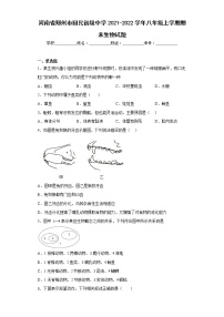 河南省郑州市回民初级中学2021-2022学年八年级上学期期末生物试题(含答案)