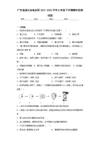 广东省茂名市电白区2021-2022学年七年级下学期期中生物试题(含答案)