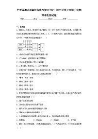 广东省湛江市雷州市第四中学2021-2022学年七年级下学期期中生物试题(含答案)