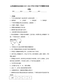 江西省赣州市定南县2021-2022学年八年级下学期期中生物试题(含答案)