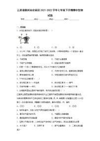 江西省赣州市定南县2021-2022学年七年级下学期期中生物试题(含答案)