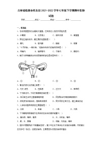 吉林省松原市乾安县2021-2022学年七年级下学期期中生物试题(含答案)