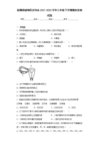 新疆塔城地区沙湾市2021-2022学年七年级下学期期末生物试题(含答案)