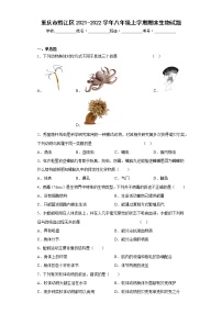 重庆市黔江区2021-2022学年八年级上学期期末生物试题(含答案)