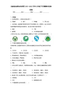 安徽省合肥市包河区2021-2022学年七年级下学期期中生物试题(含答案)