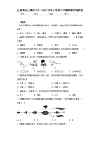 江苏省宿迁地区2021-2022学年七年级下学期期中生物试题(含答案)