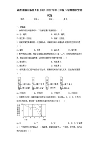 山东省德州市经开区2021-2022学年七年级下学期期中生物试题(含答案)