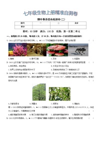 期中素养综合检测卷（二）···七年级生物上册期中期末考前复习自测卷