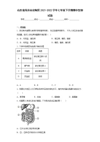 山东省菏泽市定陶区2021-2022学年七年级下学期期中生物试题(含答案)