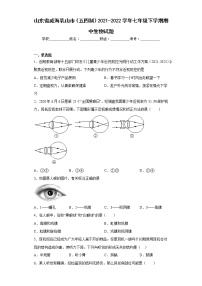 山东省威海乳山市（五四制）2021-2022学年七年级下学期期中生物试题(含答案)