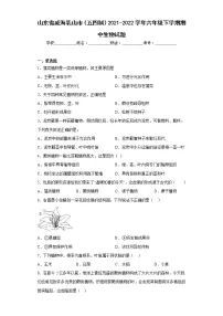 山东省威海乳山市（五四制）2021-2022学年六年级下学期期中生物试题(含答案)