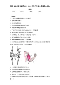 湖北省随州市曾都区2021-2022学年八年级上学期期末生物试题(含答案)