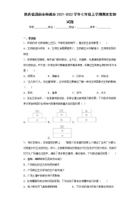 陕西省渭南市韩城市2021-2022学年七年级上学期期末生物试题(含答案)