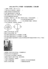 山东省滨州市阳信县教研集团校2022-2023学年八年级上学期第一次月考生物试题（含答案）