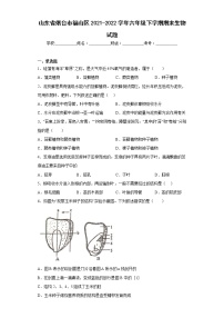 山东省烟台市福山区2021-2022学年六年级下学期期末生物试题(含答案)