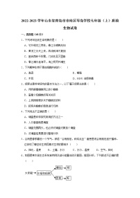 山东省青岛市市南区琴岛学校2022-2023学年七年级上学期质检生物试卷（含答案）