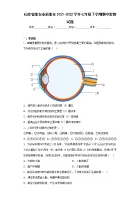 山东省泰安市新泰市2021-2022学年七年级下学期期中生物试题(含答案)