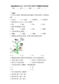 海南省临高县2021-2022学年八年级下学期期中生物试题(含答案)