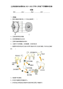 江苏省徐州市邳州市2021-2022学年七年级下学期期中生物试题(含答案)