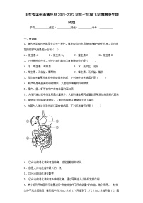 山东省滨州市博兴县2021-2022学年七年级下学期期中生物试题(含答案)