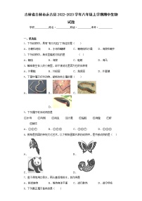 吉林省吉林市永吉县2022-2023学年八年级上学期期中生物试题(含答案)