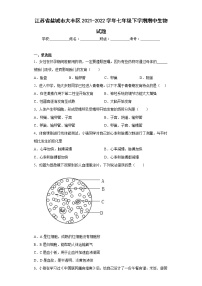 江苏省盐城市大丰区2021-2022学年七年级下学期期中生物试题(含答案)