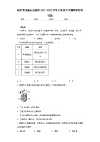 山东省济南市历城区2021-2022学年七年级下学期期中生物试题(含答案)