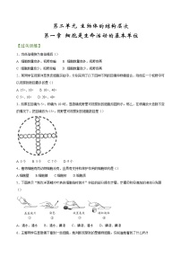 专题02 细胞是生命活动的基本单位（专题过关练）-2022-2023学年七年级生物上学期期中期末考点大串讲（人教版）