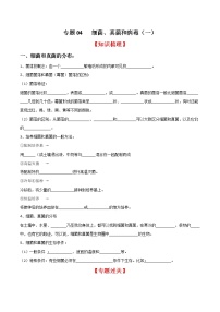 专题04 细菌、真菌和病毒（一）（知识梳理 专题过关）-八年级生物上学期期中期末考点大串讲（人教版）