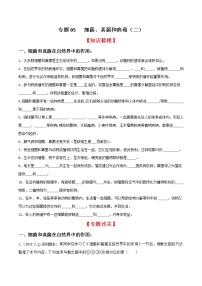 专题05 细菌、真菌和病毒（二）（知识梳理 专题过关）-八年级生物上学期期中期末考点大串讲（人教版）