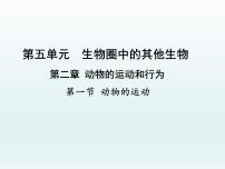 生物八年级上册第一节 动物的运动教课内容ppt课件