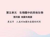 人教版 (新课标)八年级上册第五节 人类对细菌和真菌的利用图片ppt课件