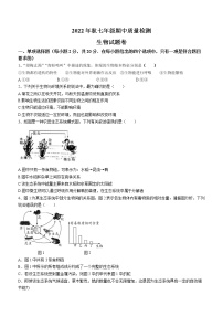 湖北省咸宁市通山县2022-2023学年七年级上学期期中生物试题(含答案)