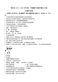 河南省南阳市邓州市2022-2023学年八年级上学期期中生物试题