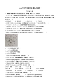 湖南省衡阳市衡南县2022-2023学年八年级上学期期中生物试题（含答案）